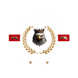 Sion Football Academy Logo